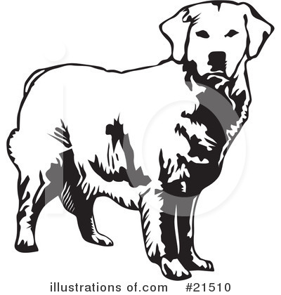 Golden Retriever Clipart #21510 by David Rey