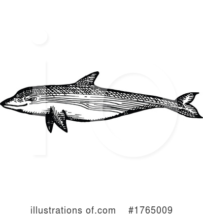 Royalty-Free (RF) Dolphin Clipart Illustration by Vector Tradition SM - Stock Sample #1765009