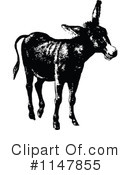 Donkey Clipart #1147855 by Prawny Vintage