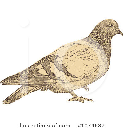 Royalty-Free (RF) Dove Clipart Illustration by Andrei Marincas - Stock Sample #1079687