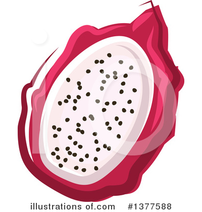 Dragon Fruit Clipart #1377588 by Vector Tradition SM