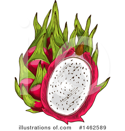 Royalty-Free (RF) Dragon Fruit Clipart Illustration by Vector Tradition SM - Stock Sample #1462589