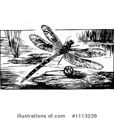 Royalty-Free (RF) Dragonfly Clipart Illustration by Prawny Vintage - Stock Sample #1113236
