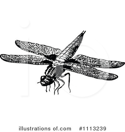 Royalty-Free (RF) Dragonfly Clipart Illustration by Prawny Vintage - Stock Sample #1113239