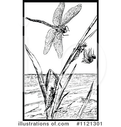 Royalty-Free (RF) Dragonfly Clipart Illustration by Prawny Vintage - Stock Sample #1121301