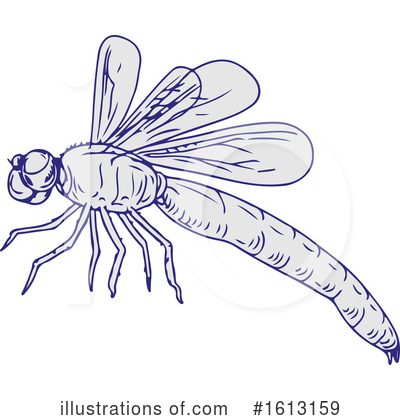 Royalty-Free (RF) Dragonfly Clipart Illustration by patrimonio - Stock Sample #1613159