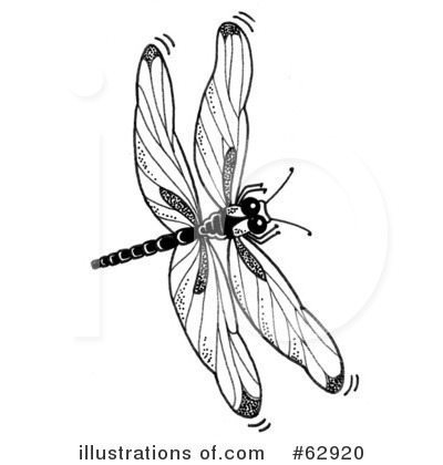 Royalty-Free (RF) Dragonfly Clipart Illustration by LoopyLand - Stock Sample #62920