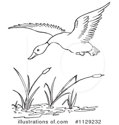 Pond Clipart #1129232 by Picsburg