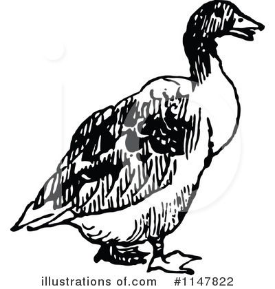 Duck Clipart #1147822 by Prawny Vintage
