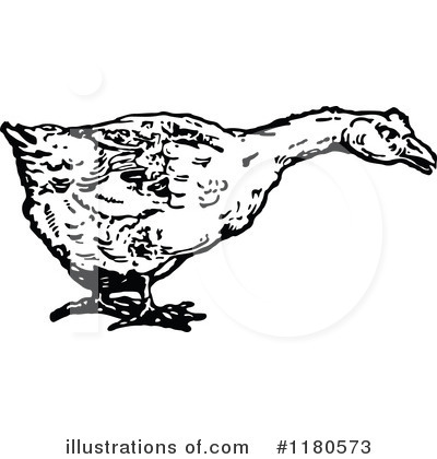 Ducks Clipart #1180573 by Prawny Vintage