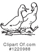 Duck Clipart #1220988 by Picsburg