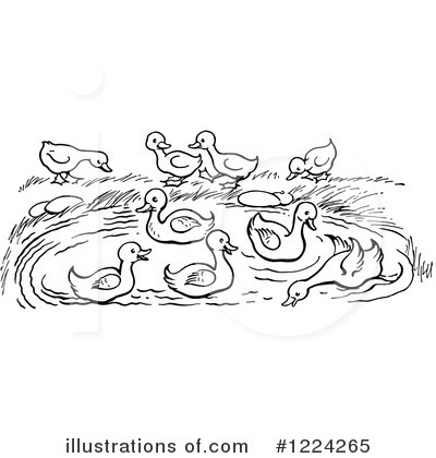 Royalty-Free (RF) Duck Clipart Illustration by Picsburg - Stock Sample #1224265