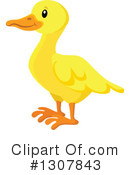 Duck Clipart #1307843 by visekart