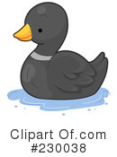 Duck Clipart #230038 by BNP Design Studio