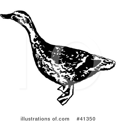 Duck Clipart #41350 by Prawny