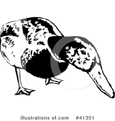 Duck Clipart #41351 by Prawny