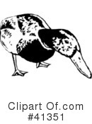 Duck Clipart #41351 by Prawny
