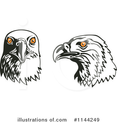 Royalty-Free (RF) Eagle Clipart Illustration by patrimonio - Stock Sample #1144249