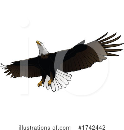 Royalty-Free (RF) Eagle Clipart Illustration by dero - Stock Sample #1742442