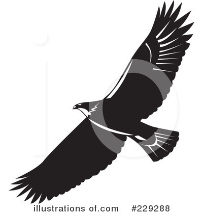 Royalty-Free (RF) Eagle Clipart Illustration by patrimonio - Stock Sample #229288