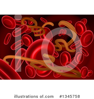 Blood Cell Clipart #1345758 by AtStockIllustration