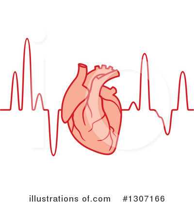 Royalty-Free (RF) Ecg Clipart Illustration by Vector Tradition SM - Stock Sample #1307166