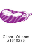 Eggplant Clipart #1610235 by cidepix