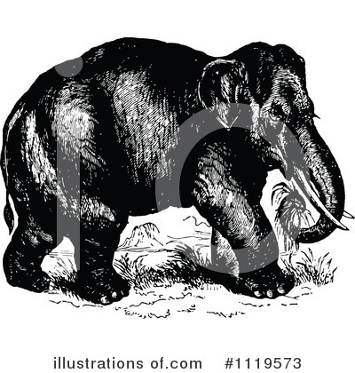 Elephant Clipart #1119573 by Prawny Vintage