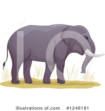 Royalty-Free (RF) Elephant Clipart Illustration by BNP Design Studio - Stock Sample #1246181
