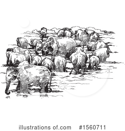 Elephant Clipart #1560711 by Lal Perera