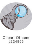 Elephant Clipart #224966 by patrimonio
