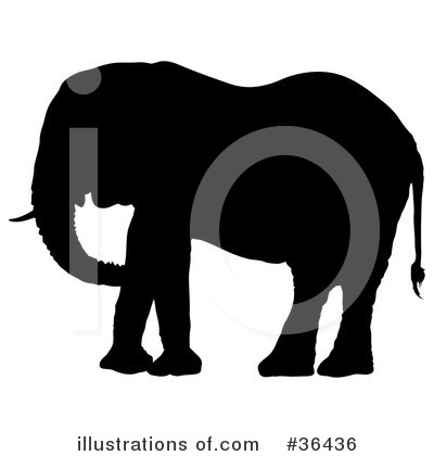Elephant Clipart #36436 by dero
