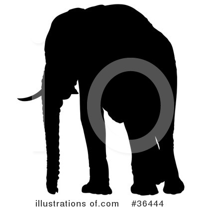 African Animals Clipart #36444 by dero