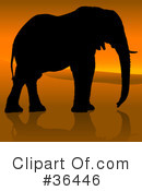 Elephant Clipart #36446 by dero