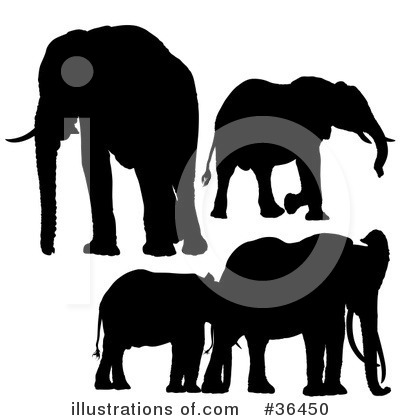 Elephant Clipart #36450 by dero