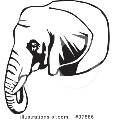 Royalty-Free (RF) Elephant Clipart Illustration by David Rey - Stock Sample #37886