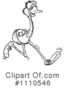 Emu Clipart #1110546 by Dennis Holmes Designs