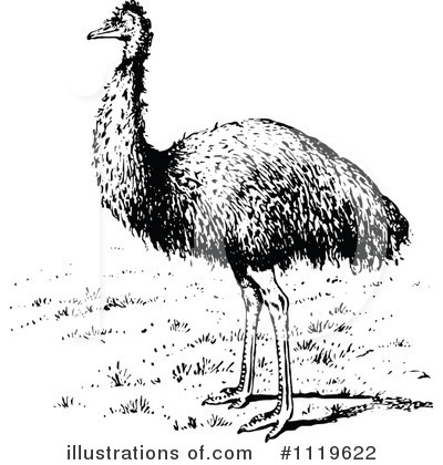 Royalty-Free (RF) Emu Clipart Illustration by Prawny Vintage - Stock Sample #1119622