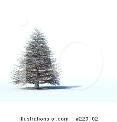 Tree Clipart #229102 by chrisroll