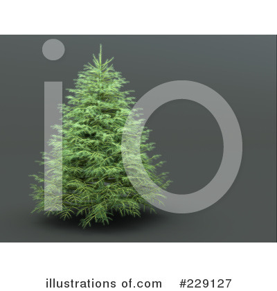 Tree Clipart #229127 by chrisroll