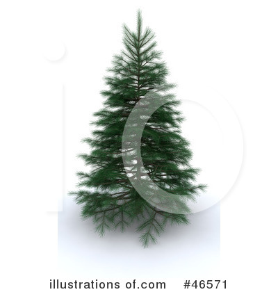 Royalty-Free (RF) Evergreen Tree Clipart Illustration by KJ Pargeter - Stock Sample #46571