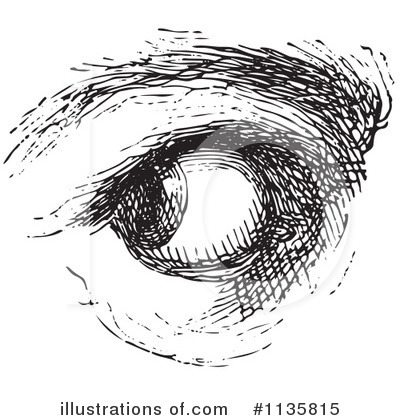 Eye Clipart #1135815 by Picsburg