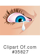 Eye Clipart #35827 by Prawny