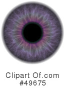 Eyeball Clipart #49675 by Arena Creative