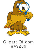Falcon Character Clipart #49289 by Mascot Junction