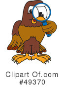 Falcon Character Clipart #49370 by Mascot Junction