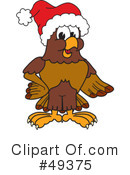 Falcon Character Clipart #49375 by Mascot Junction