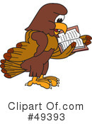 Falcon Character Clipart #49393 by Mascot Junction