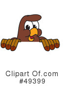Falcon Character Clipart #49399 by Mascot Junction