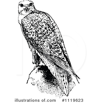 Royalty-Free (RF) Falcon Clipart Illustration by Prawny Vintage - Stock Sample #1119623